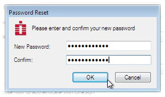 Screenshot depicting password confirmation UI